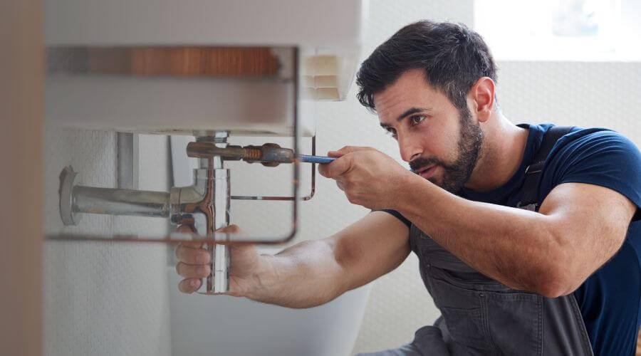 Trap Repair/Replacement in Essex, MA
